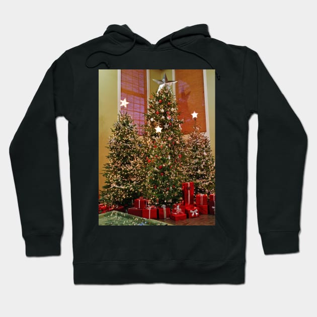 Three Christmas Trees Hoodie by Cynthia48